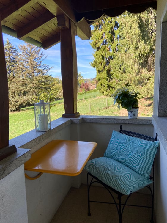 appt rénové-nature -vue lac- ds grande propr. privée jardin 3