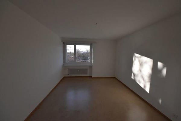 Charmante 1-Zimmer-Wohnung mit Balkon in Therwil 4