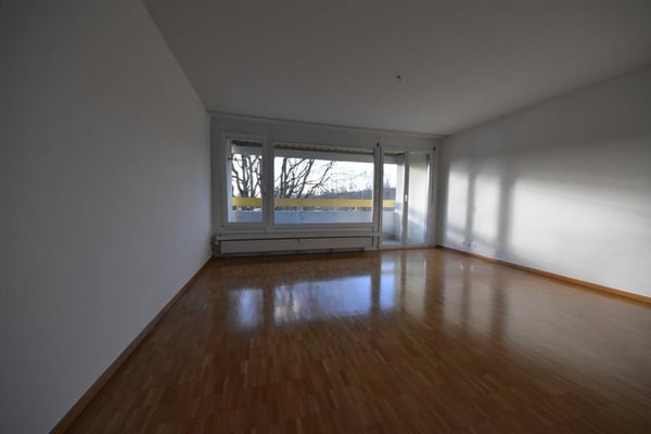 Charmante 1-Zimmer-Wohnung mit Balkon in Therwil 2