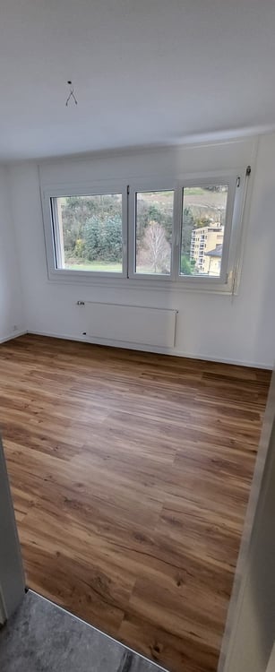 Appartement 1.5 pièces entièrement rénové à Bex 4