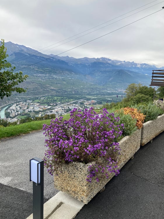 Magnifique 1.5 p à 10 min de Sion Vue XXL Cheminée Terrasse 10