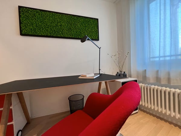 Wohnung 1-zimmer Zürich Seefeld 4