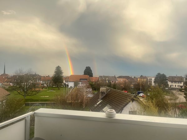 Reprise de bail Magnifique 1½ pièces rénové à Cortaillod 4