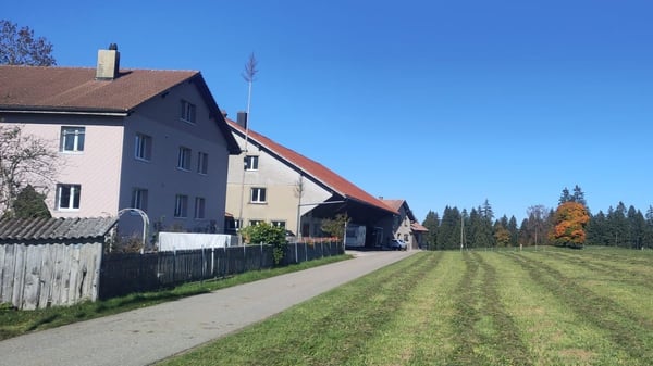 Appartement 2.5 pièces, en pleine nature, cadre idyllique 2