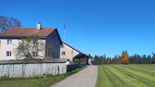 Appartement 2.5 pièces, en pleine nature, cadre idyllique 3