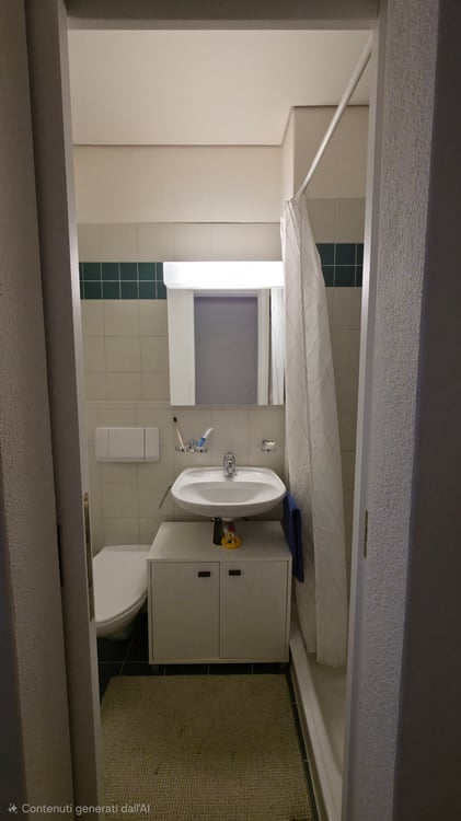 Charmant 2.5 pièces avec plafond en bois ? Proche centre ! 1