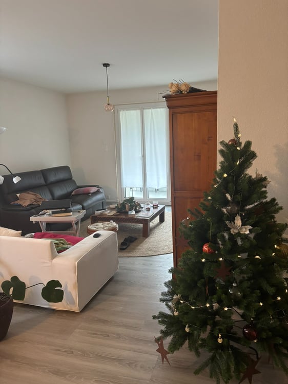 À louer ? 1.5 pièces lumineux avec balcon et jardin privatif 1