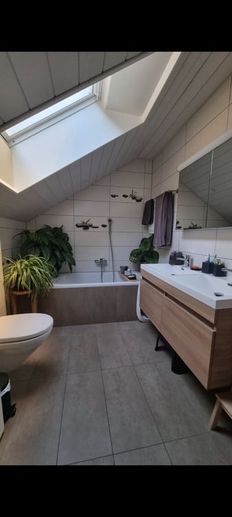 Magnifique maison 1.5 pièces 2