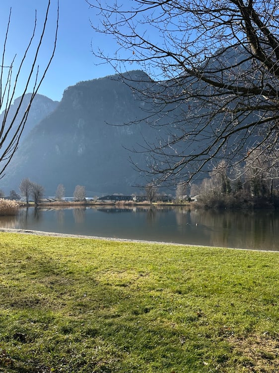 Villa contiguë à louer au Bouveret 1