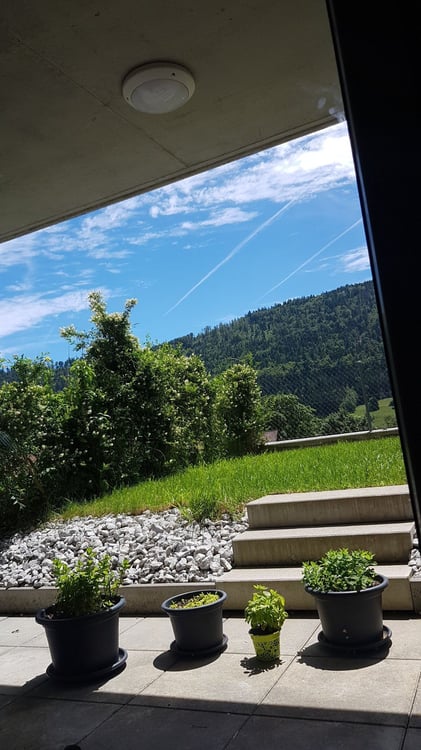 Charmant 2.5 pièce avec terrasse plein sud - Neuf 4