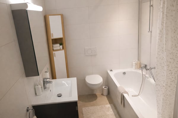 Charmant 2.5 pièce avec terrasse plein sud - Neuf 3