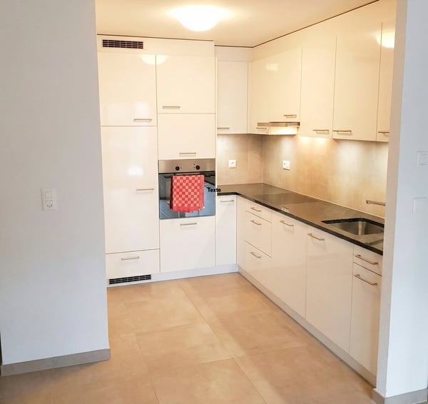 Charmant 2.5 pièce avec terrasse plein sud - Neuf 2