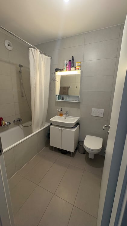 1.5 pièces à louer dès le 1er février 2026 5