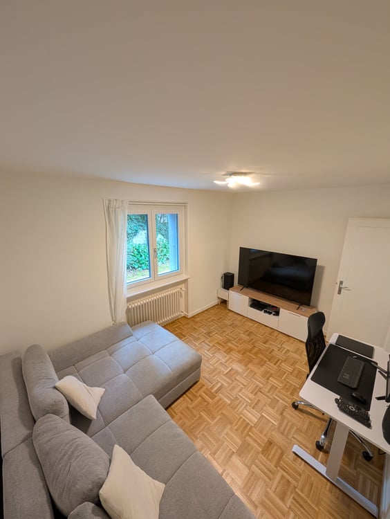 1.5 pièces lumineux et rénové dans quartier calme 2