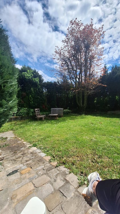 Recherche nouveau coloc 1320.- 1er février 1