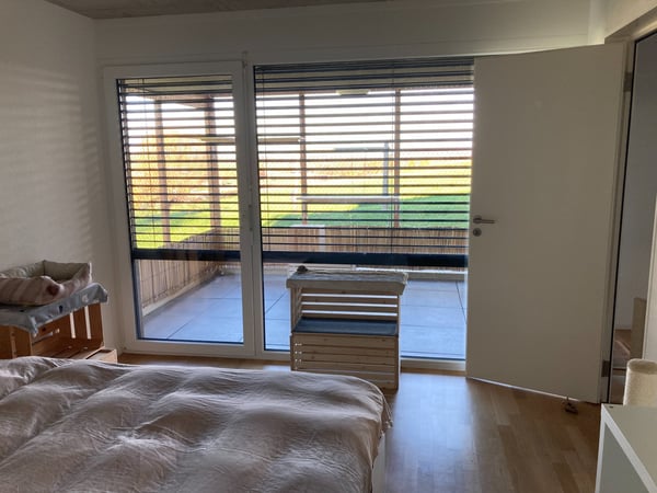 Magnifique 1.5 pièces avec grande terrasse sans vis-à-vis 4