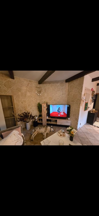 Bail à remettre pour 1er mars 2026 3