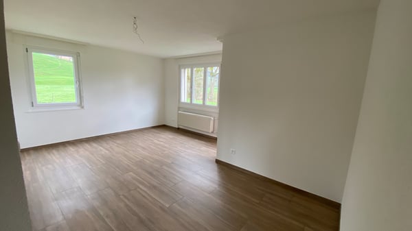 A louer bel appartement 1,5 pièces rénové 3