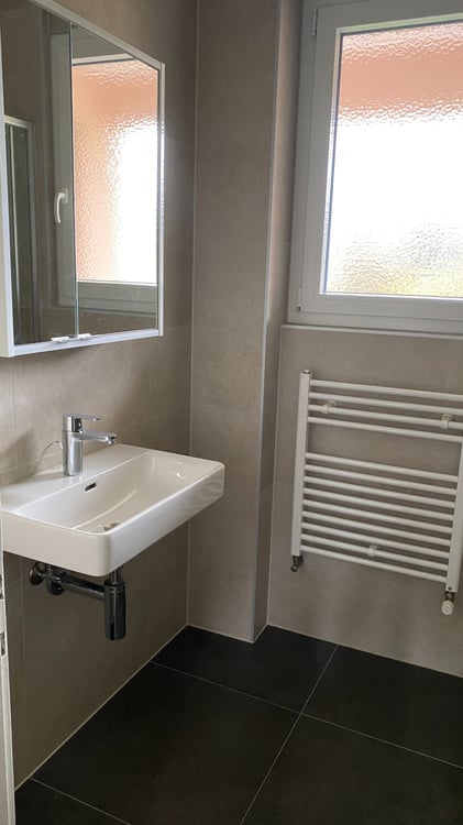 A louer bel appartement 1,5 pièces rénové 12