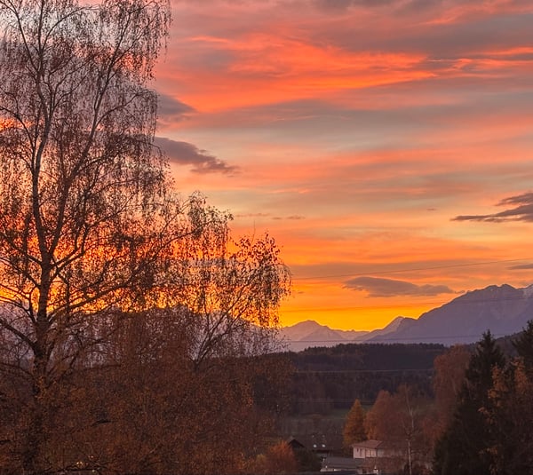 Belle maison contiguë 1 pièces à Savigny, centre 3