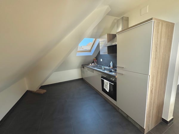 Apparemment 1.5 pièces à louer 5