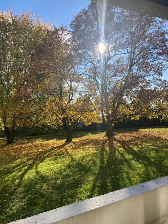 Appartement 1.5 pièces au centre de lausanne, quartier calme 1