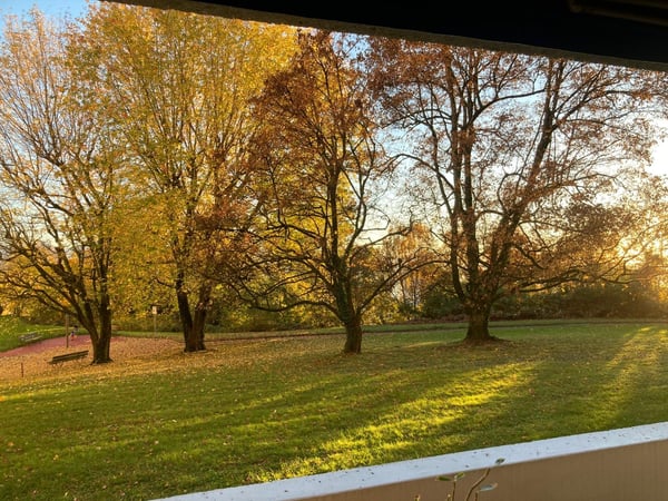 Appartement 1.5 pièces au centre de lausanne, quartier calme 3