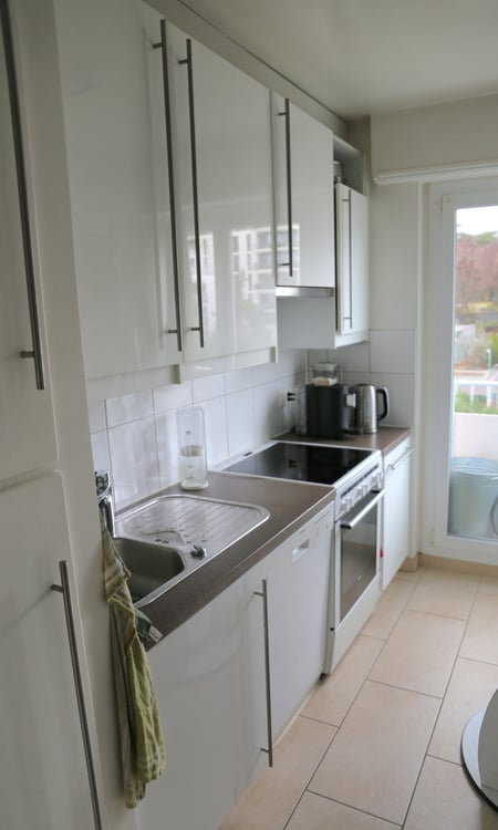 Sous-location: Appartement meublé 4.5 pièces 107m2 4