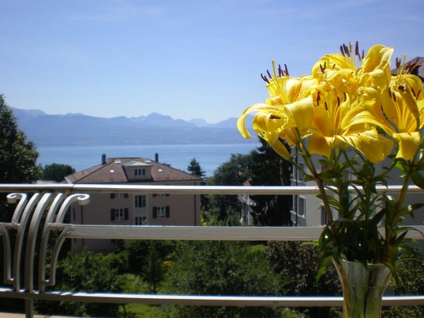 Montchoisi: Bel appartement souslocation 1