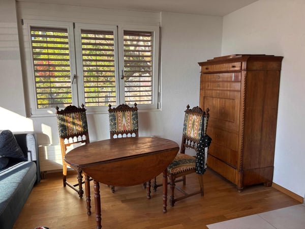 2 pièces meublé avec balcon et place de parc 4