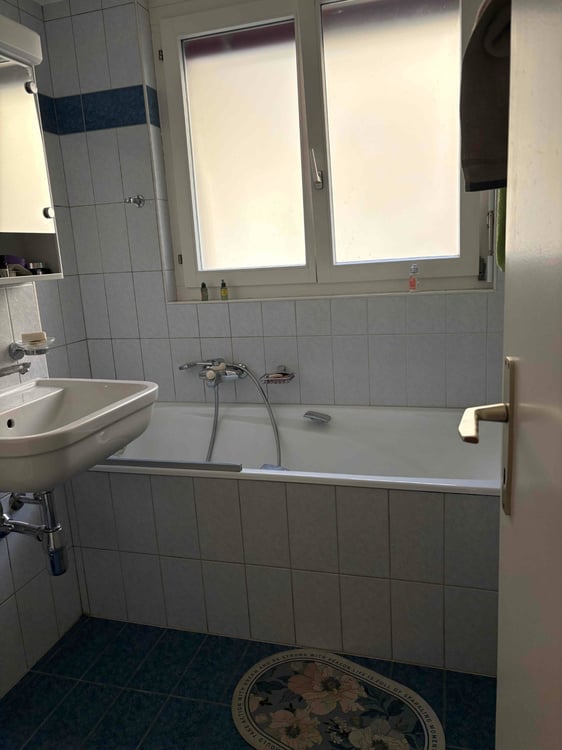 2 pièces meublé avec balcon et place de parc 3