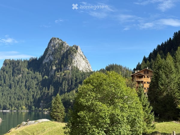 Appartement de vacances à louer au Lac de Taney 8