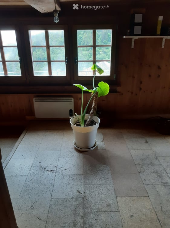 Hérémence, Mâche: location grand studio dans vieux chalet 4