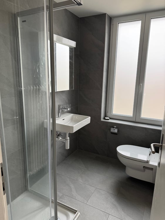 Bel appartement de 3.5 pièces entièrement rénové 4