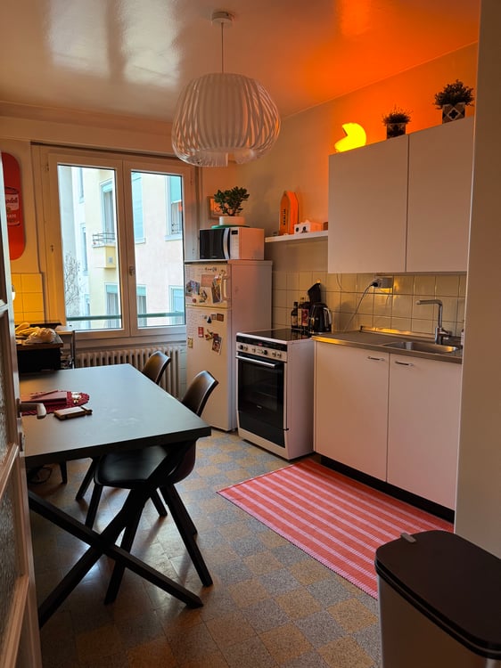 Sous-location meublée 3,5 pièces (69 m²) 4e avec balcon 4