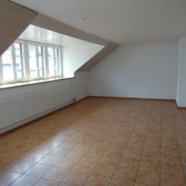 Beau et grand 4,5 pièces. 2