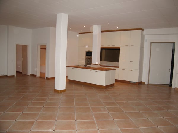 Appartement Loft dexception entre habitation et espace pro 2