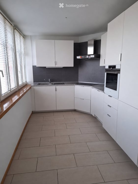 Magnifique appartement avec vue sur le lac 3