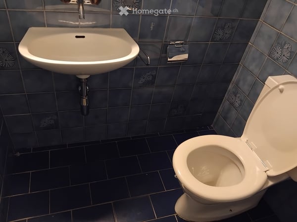 Colocation Chambre et Espace de Lit 500chf 1