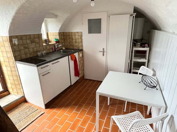Tiny House à louer avec magnifique vue sur le lac Léman 3