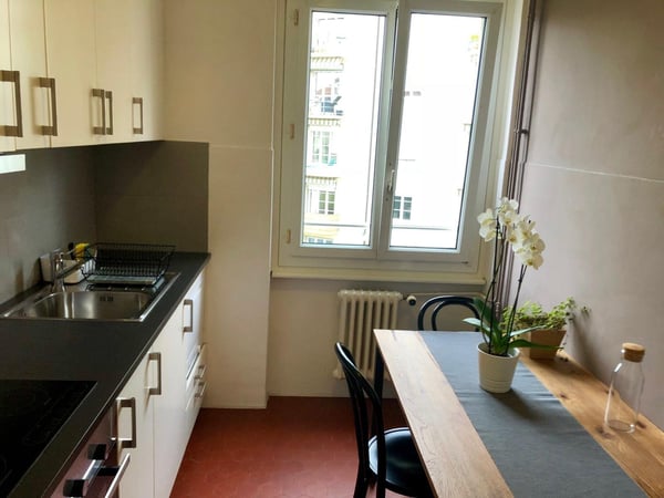Lumineux appartement meublé de 2.5 pièces avec balcon 4