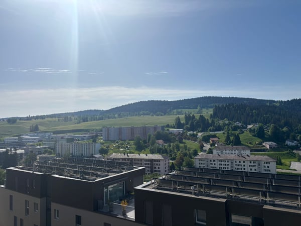 Attique Lumineux et calme de 3.5 pièces avec Terrasse 1