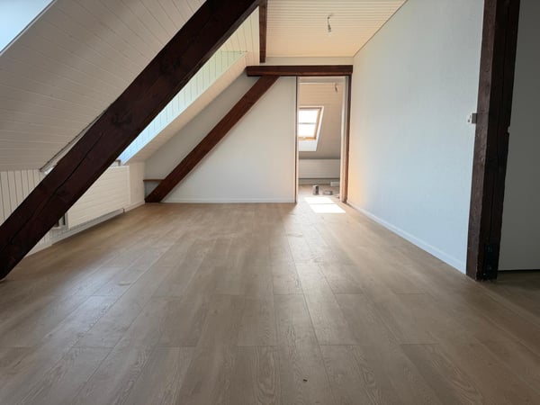 Magnifique Duplexe de 5,5 pièces entièrement rénové 5