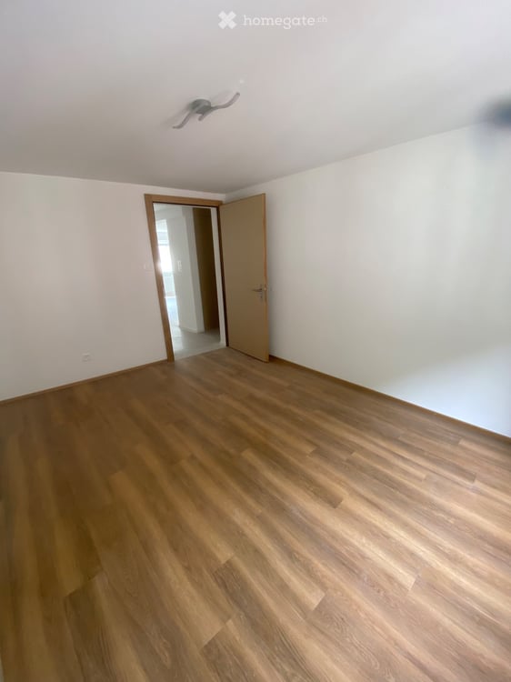 Appartement 4.5 pièces rénové en 2022 4