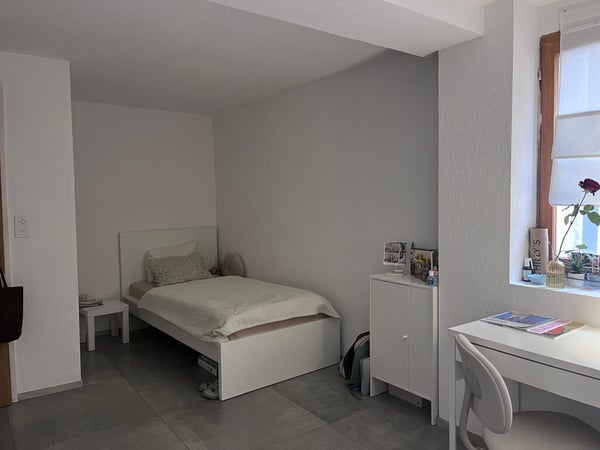 A louer 2 appartements, 3,5 pièces, Grand Rue, 5 min gare 3
