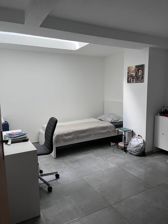 A louer 2 appartements, 3,5 pièces, Grand Rue, 5 min gare 4