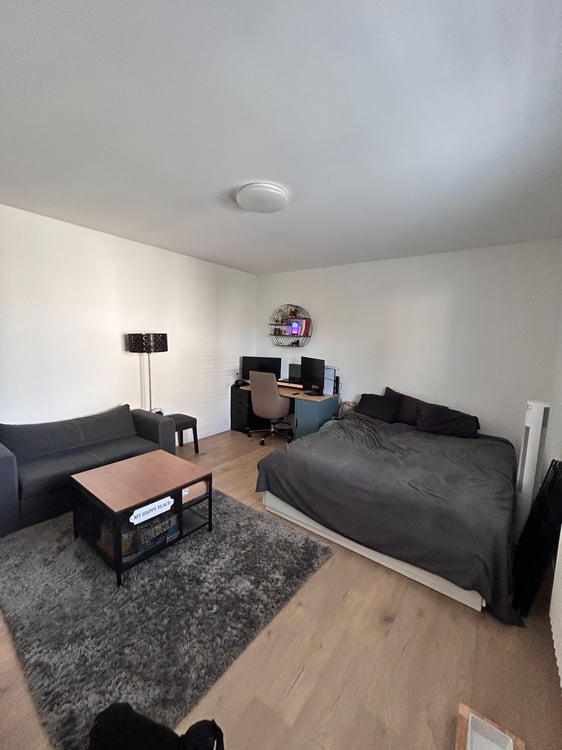 Studio moderne et fonctionnel à Morges 4