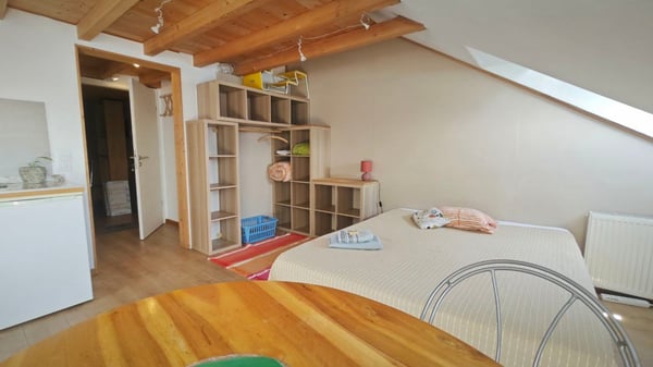 Studio avec mezzanine vue sur le Lac 5