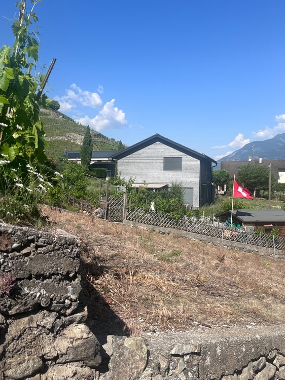 Villa CECB+ sur le coteau à Branson 3