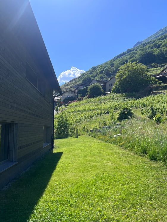 Villa CECB+ sur le coteau à Branson 2